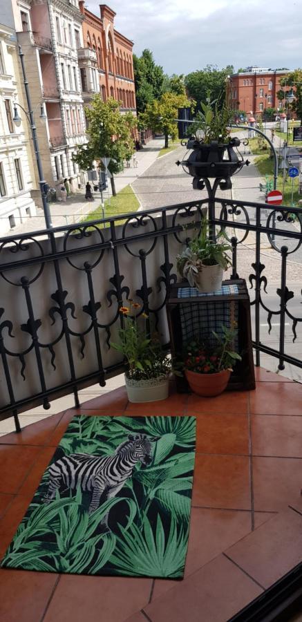 Astronomiczny Apartament , Mieszkanie 2 Pokojowe. Parking. Stary Toruń Buitenkant foto