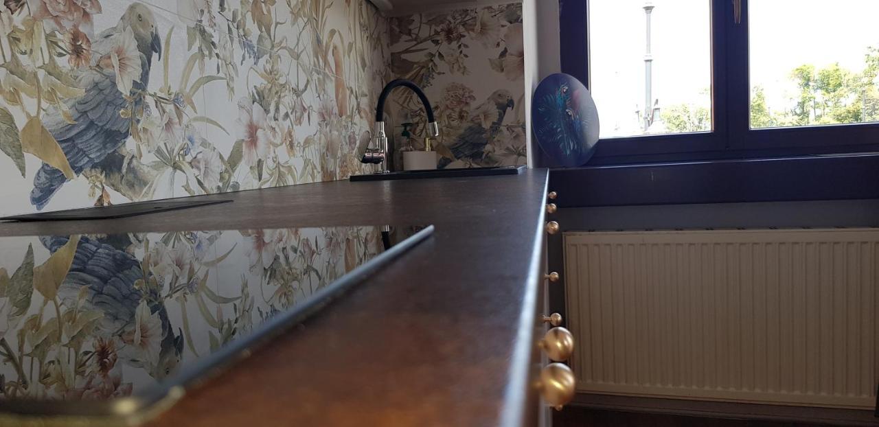 Astronomiczny Apartament , Mieszkanie 2 Pokojowe. Parking. Stary Toruń Buitenkant foto
